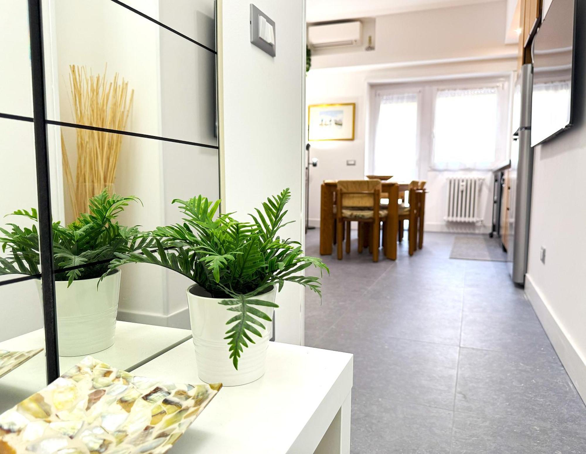 Trastevere For You... 3 Bedrooms Apartment 罗马 外观 照片